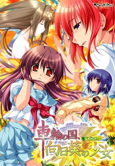 vn image